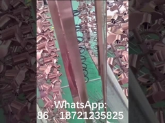 A primeira máquina de PVD construída no revestimento de bronze das torneiras do sanitaryware- de África Tunísia SOPAL