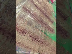 Máquina de revestimento de PVD de vidros de liga de titânio