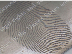 Sistema de Metalização de Alto Vácuo, Unidade de Revestimento por Evaporação Térmica para Imagem de Marcas de Dedos